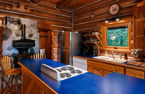 Boyne City Cabin | Cozy Cabin in the Forest close to skiing and Lake Charlevoix