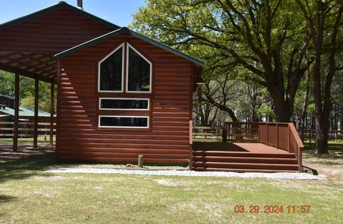 Canton Cabin | Cozy Canton Cottage + Cabin - 2 separate houses on same property. Sleeps 12