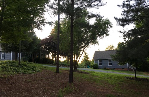Caroleen Cottage | Cozy Cottage on 15 Acres of Forest Land. 15 min from the TIEC