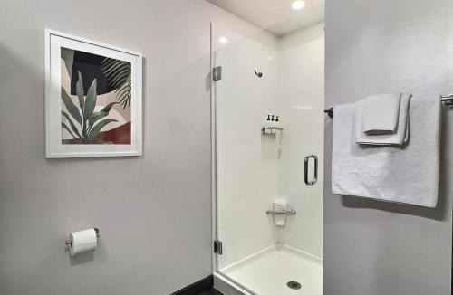 Five Points South Apartment | Cozy Downtown Spot, Gym, 5 min to Hospital) for field