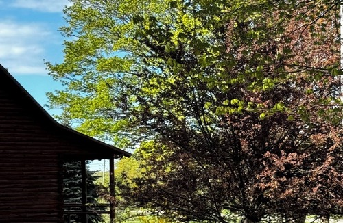 Harbor Springs Cabin | Cozy Harbor Springs cabin meticulously maintained on 4 acres.