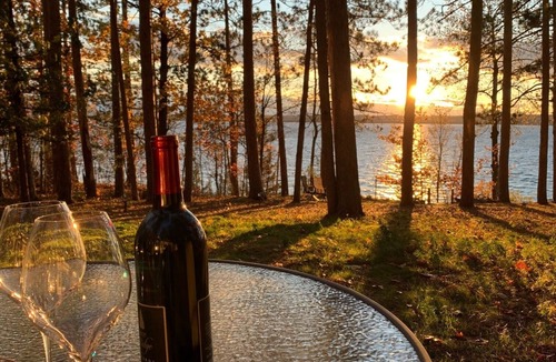 Spruce Cottage | Cozy Hubbard Lake waterfront -beautiful views, private wooded lot, fireplace