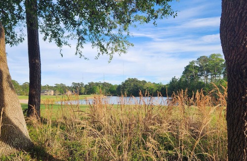 Pawleys Island Condo | Cozy King Condo on True Blue Golf Club steps from pool hot tub + State Park Pass