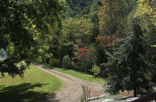 Franklin Cabin | Cozy mountain cabin with hiking trails, tranquil pond and private waterfall!
