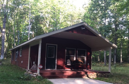 Chase Cabin | Cozy newer cabin located on 40 wooded acres