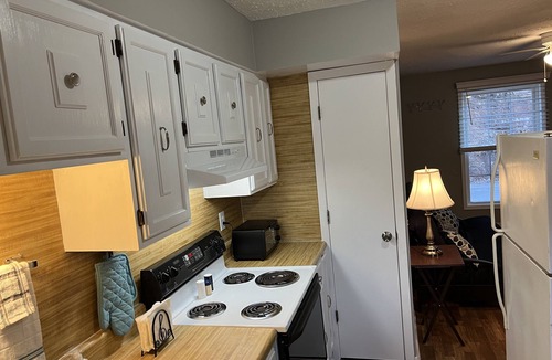 Bluewell Apartment | Cozy Spurrier Unit 6 1 bed 1 bath Pets Welcome FREE WiFi