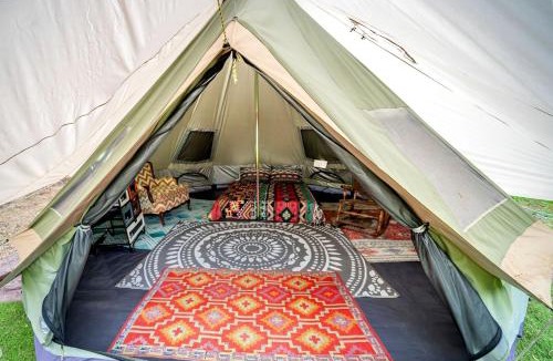 Cosby Other | Creekside Glamping Heaven with Comfy Interior in Cosby, Tennessee