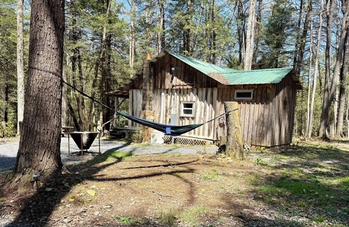 Aurora Cabin | Creekside Log Cabin w/firepit, near quaint towns Thomas/Davis & many state parks