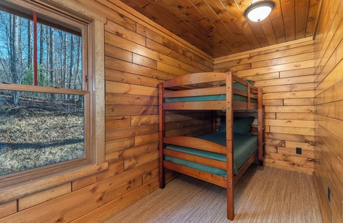Mars Hill Cabin | Cubs Den Cabin | Luxe Views, Hot Tub + Fire Pit Retreat + Biltmore Pass