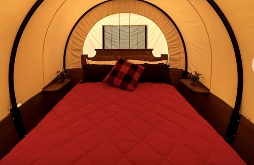 Lancaster House | Cute Caravan Nestled Amidst Trees in Danville, Kentucky