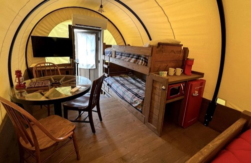 Lancaster House | Cute Caravan Nestled Amidst Trees in Danville, Kentucky