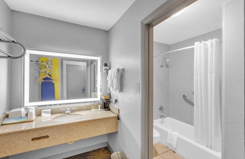 Hollins Hotel | Days Inn I81 king bed
