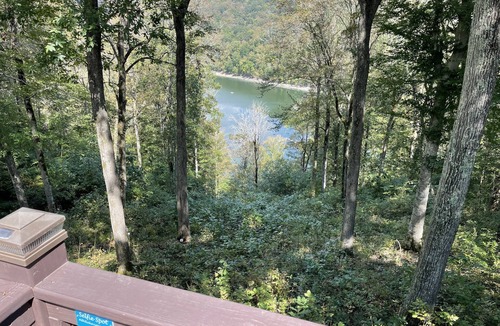 Albany Cottage | DHL Lake View Escape - 1 mi from Marina!