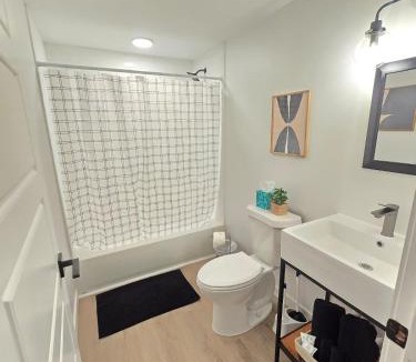 Brush Park Apartment | Downtown Detroit Hidden Gem Walk to Venues & DMC