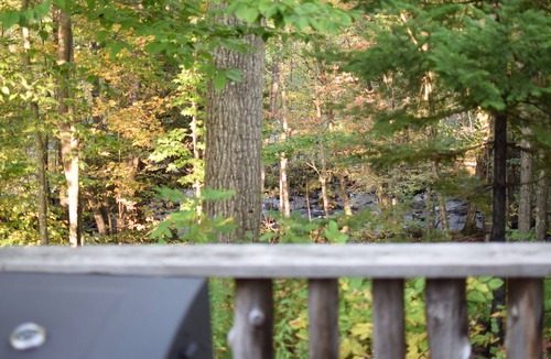 Athelstane Cabin | Enjoy views of the river with comfortable space for the whole family!