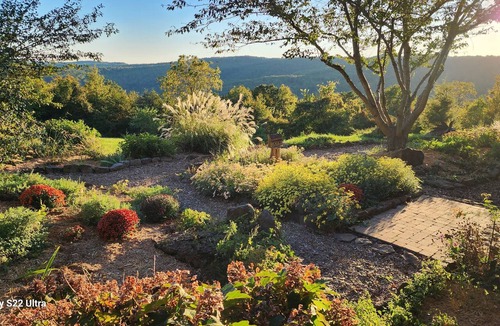 Sand Gap House | Entire 70 acre private Ozark Mountain Retreat. Sleeping room for TEN guests!