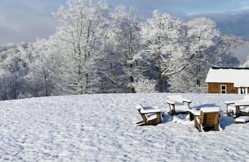 Thorn Hill Cabin | Escape life’s busyness at Bear in Mind cabin