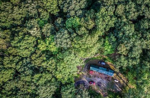 Points House | Family Cabin on 6 Acres w/Lake Access & Hot Tub!