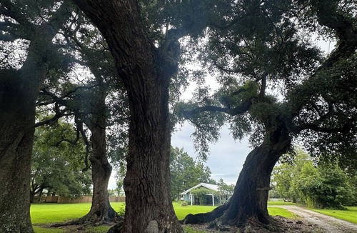 Breaux Bridge House | FIVE OAKS FARM🌳