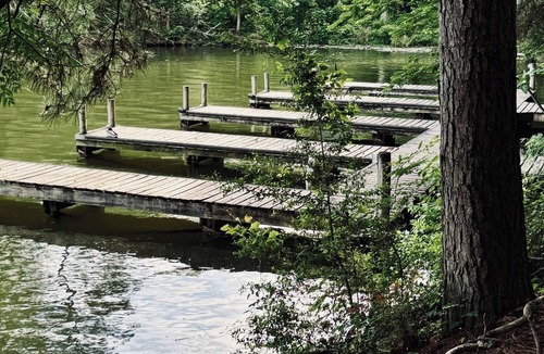 Hot Springs Cabin | FIVE POINTS~LAKE HAMILTON: Cabin#D ~ 1BR w/Queen Bed, Futon in LR, Full Kitchen, Breakfast "Fixins" Provided, Jetted Tub, Balcony Deck off BR