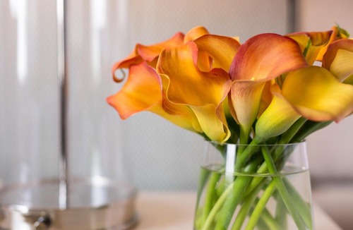 Midtown Hotel | Four Seasons Hotel Atlanta