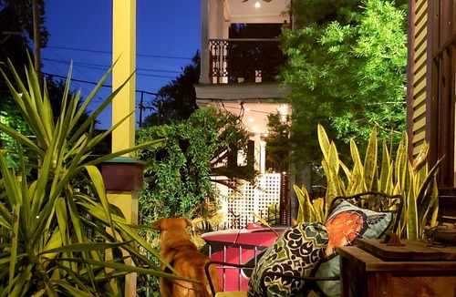 Faubourg Livaudais House | Garden District Streetcar, Gated Driveway & Fenced Yard, Dog Friendly!