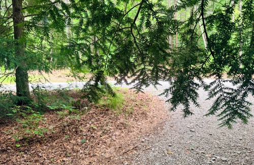 Beersheba Springs RV Rental | Glamping Cabin With AC at Greeter Falls Campground