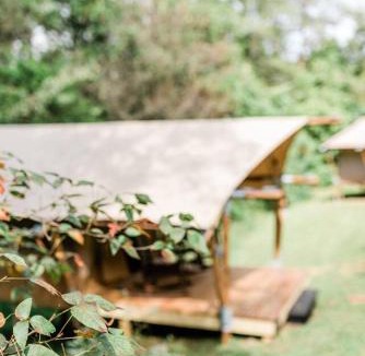 Knoxville Other | GlampKnox Canvas Campground - Clare