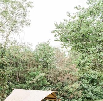 Knoxville Other | GlampKnox Canvas Campground - Clare