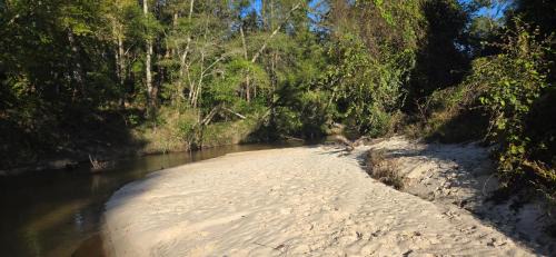 Covington House | Glass House retreat on scenic Bogue Falaya river