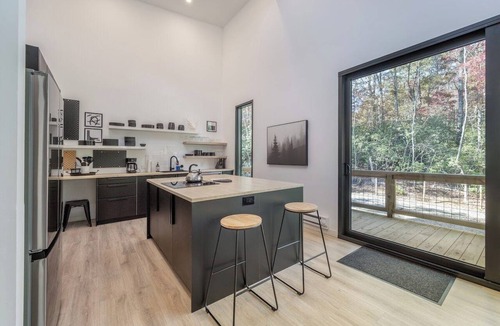 Pisgah Forest House | Glass Pines in Pisgah Forest