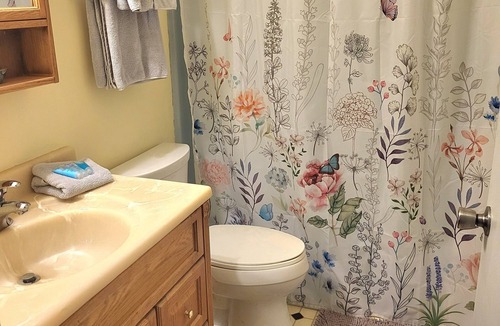 Lynchburg House | Go for a swim! 2-bedroom guest house, near colleges pet friendly.