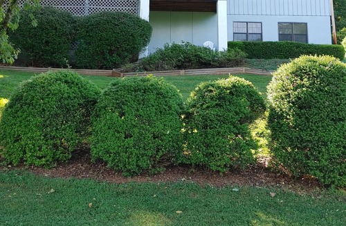 Franklin House | GOLFING GETAWAY RIGHT ON THE GREEN!! SLEEPS 4 ADULTS