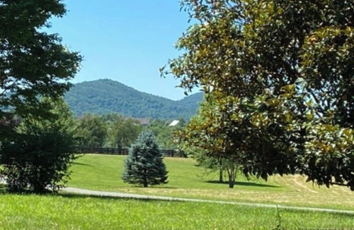 North Garden House | Gorgeous House w/Views. Quiet, close to C'ville & wineries
