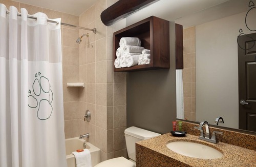 Grapevine Resort | Great Wolf Lodge Grapevine