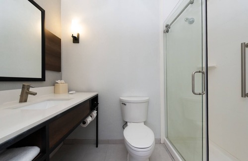 Scotlandville Hotel | Hilton Garden Inn Baton Rouge Airport