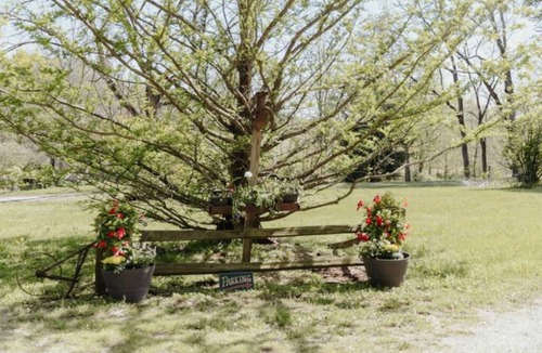 Charlestown Cabin | Historical and Spacious Shabby Cabin Retreat! Modern Amenities
