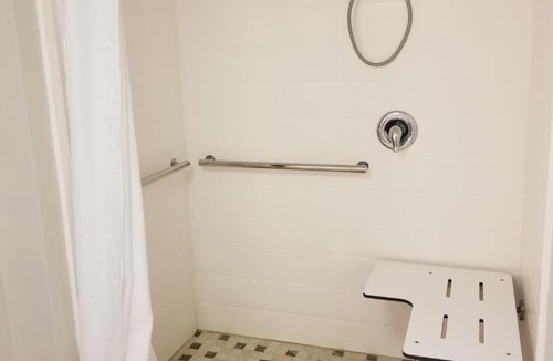 Birch Run Hotel | Holiday Inn Express Birch Run-Frankenmuth Area by IHG