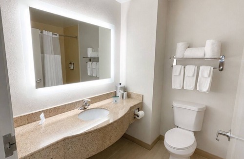 McDonough Hotel | Holiday Inn Express McDonough by IHG