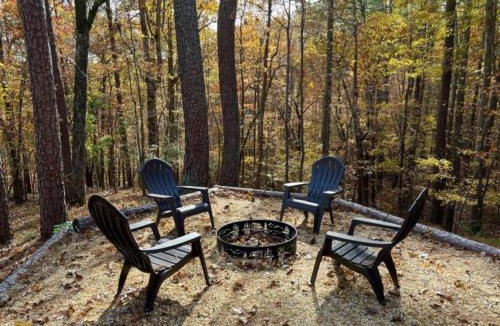 Ellijay House | Hollow Tree Hideaway Coosawattee River Resort - FREE ticket for each night of your stay
