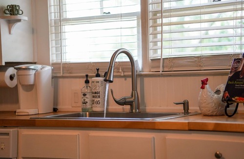Greer House | HollyWild House Cozy 3-Bedroom Bungalow Downtown Greer