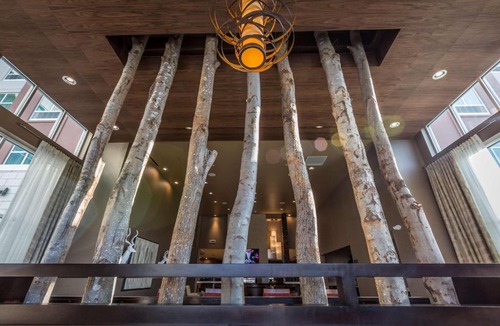 Charlotte Hotel | Homewood Suites by Hilton Charlotte Ballantyne, NC
