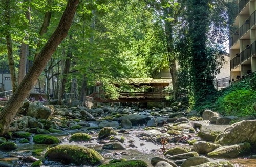 Gatlinburg Cottage | Honeymoon Cottage, creek view.