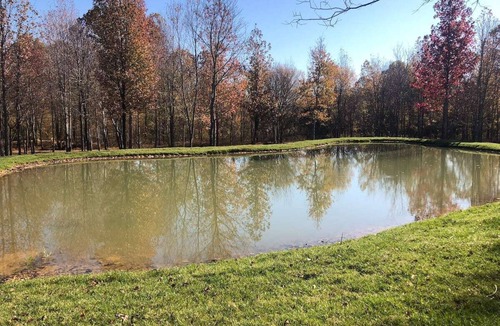 Huron Cabin | Hopping Kangaroo Cabin only .5 miles from the Safari Park!