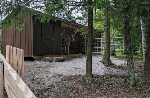 Elgin House | Horse-Friendly Retreat:Trail Access, Woodland Views & Peaceful Deck
