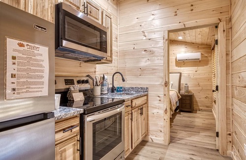 Cosby Cottage | Jolly Jingle Cabin, Pickleball Court, WIFI, Mountain Views, Starting at $50
