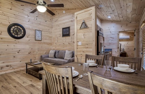 Cosby Cottage | Jolly Jingle Cabin, Pickleball Court, WIFI, Mountain Views, Starting at $50