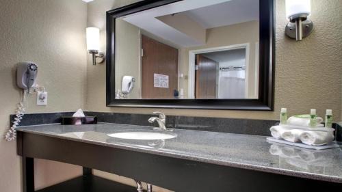 Jackson Apartment | King Bed Hotel Room 210