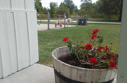 Little Sturgeon House | Kitchenette offering 2 Queen Beds at a mom and pop motel 1/2 mile to the bay ...