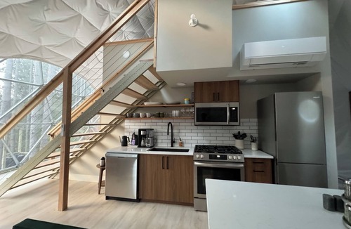 Benzonia Cabin | Löyly Luxury Dome, Hot Tub, Sauna, Plunge, King, Queen, Kitchen, Sleeps 4, N. MI